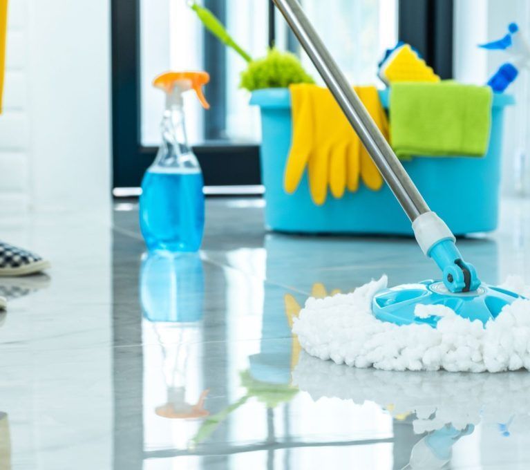 egulación para la prevención de riesgos laborales de las empleadas del hogar